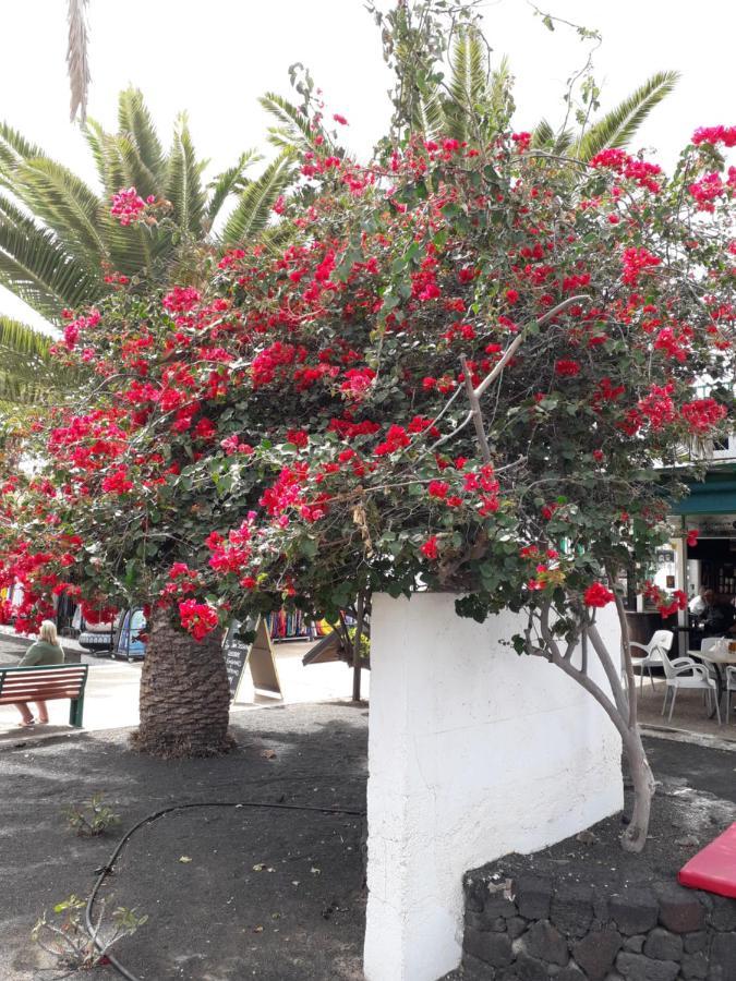 Sunny Self-Catering Apartment Costa Teguise, Lanzarote, Spain エクステリア 写真